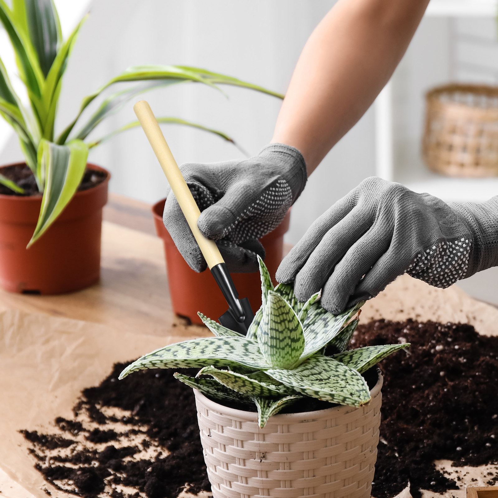 Bonsai Garden Rake - 2 Set Peralatan Kebun Mini, Sekop,