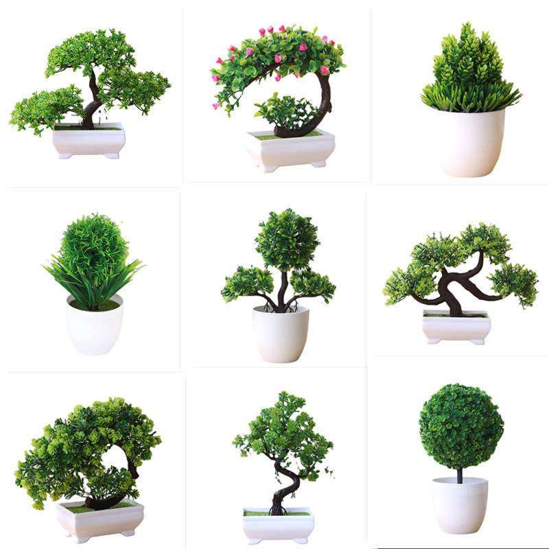 Bonsai Garden Sushi - Tanaman Bonsai Dekorasi Rumah, 1 buah