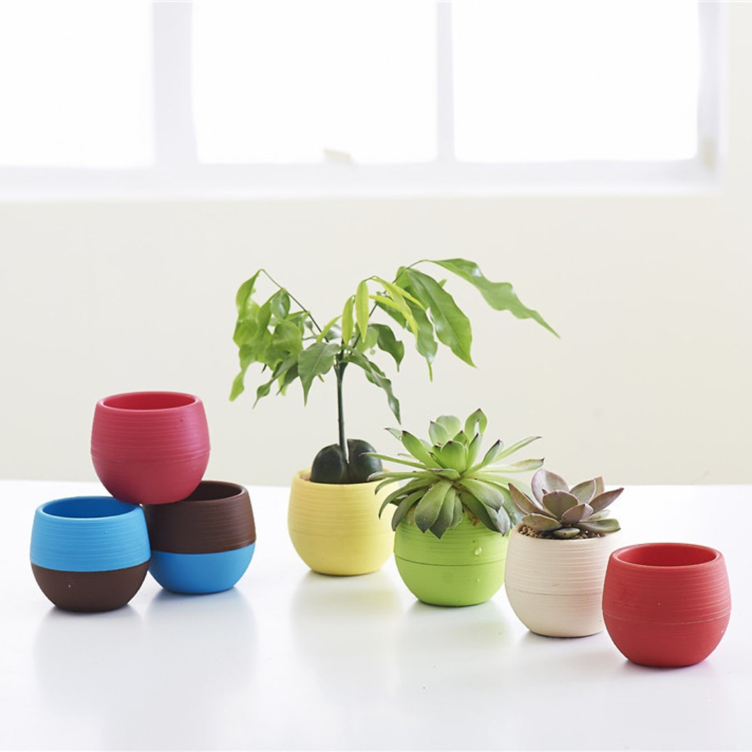 Bonsai Garden Europe - Pot Bunga Plastik Mini Berkebun Pot