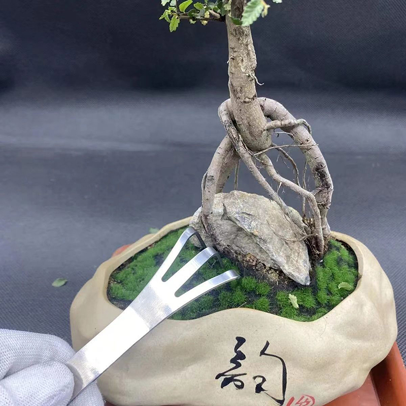 Bonsai Garden Rake - 1 Buah Garu Akar Baja Tahan