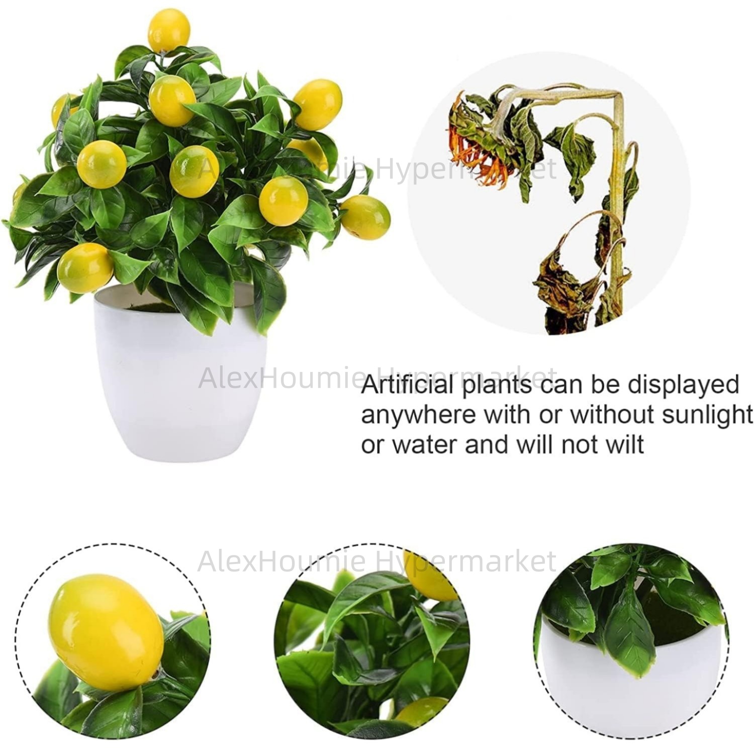 Pohon Lemon Palsu Tanaman Buat - Bonsai Garden Sushi ulasan dan harga
