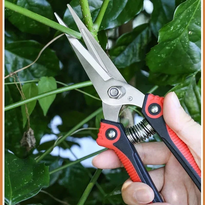Gunting Pangkas NEWSHARK Bahan - Bonsai Garden Rake ulasan dan harga