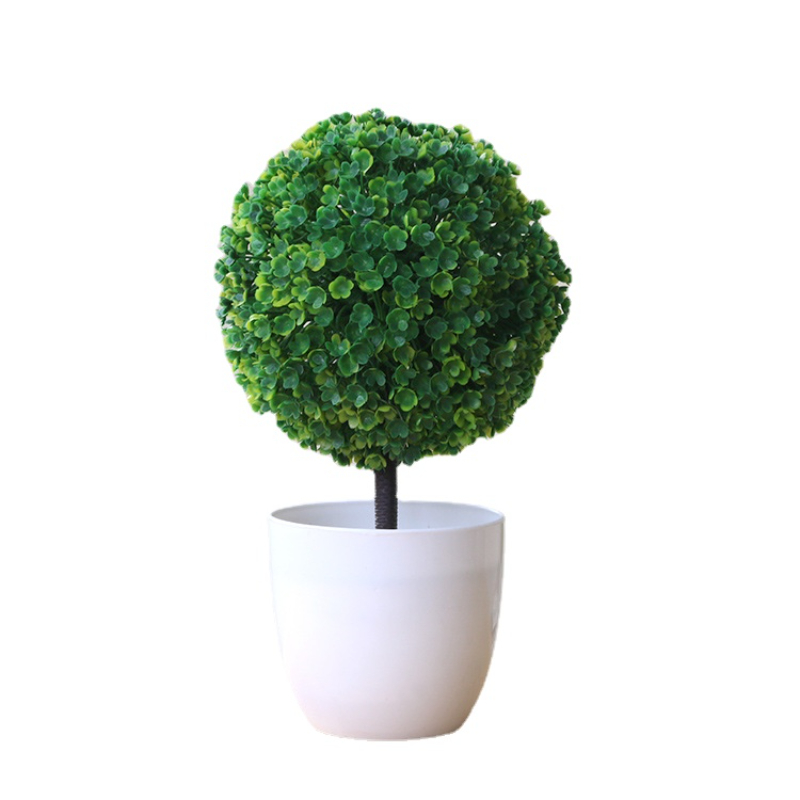 Tanaman Bonsai Dekorasi Rumah, - Bonsai Garden Sushi ulasan dan harga