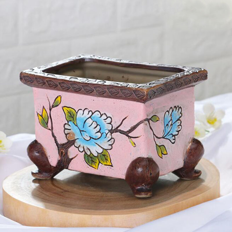 Gaya Korea buatan tangan pola  - Bonsai Garden Europe ulasan dan harga