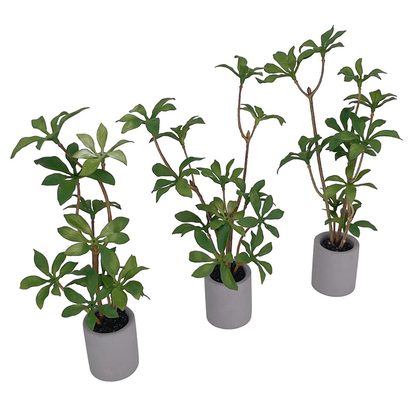 1:6 miniatur rumah boneka Pot  - Bonsai Garden House ulasan dan harga
