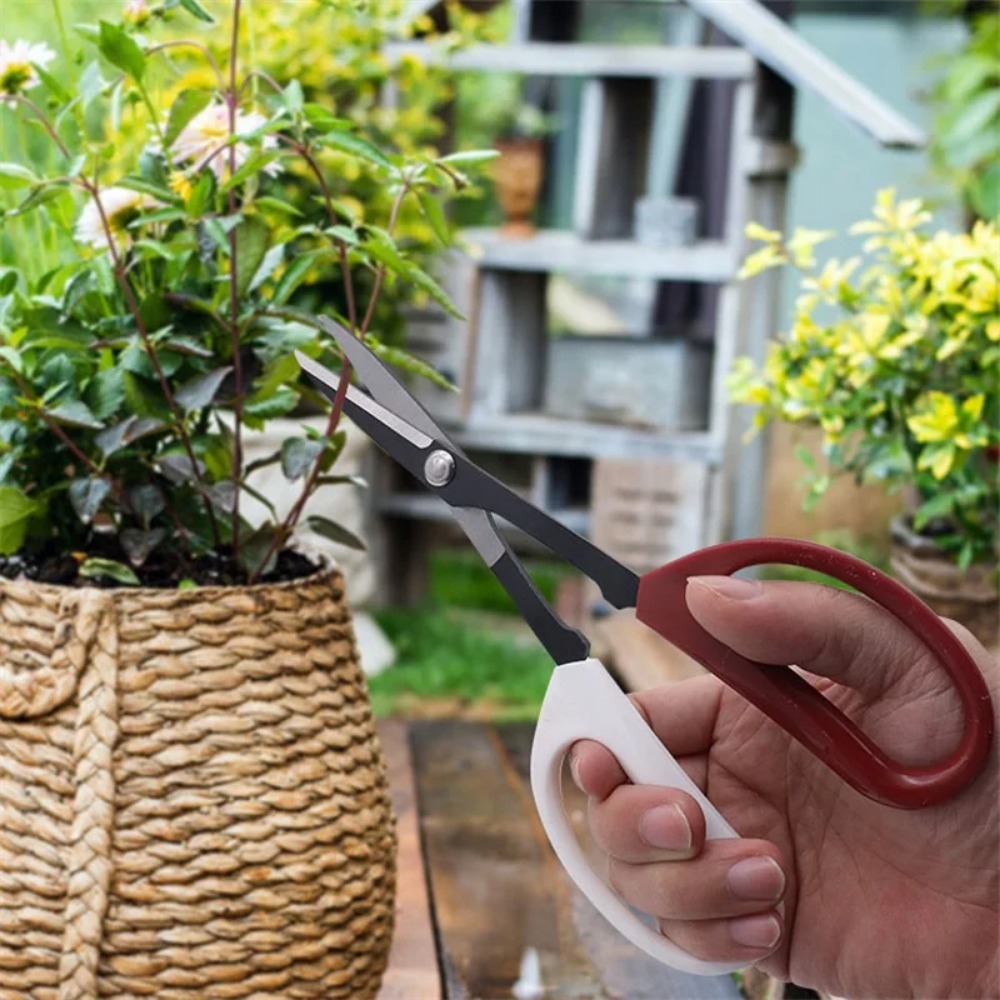 Gunting Bonsai gagang panjang, - Bonsai Garden Rake ulasan dan harga
