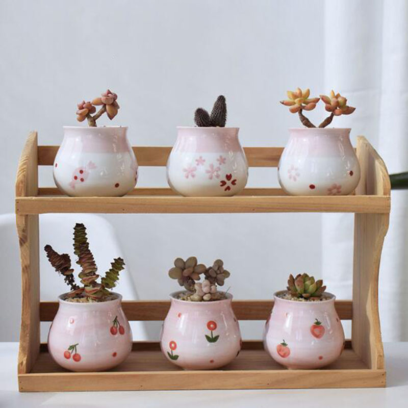 Pot Tanaman Berdaging Seri Hat - Bonsai Garden Europe ulasan dan harga