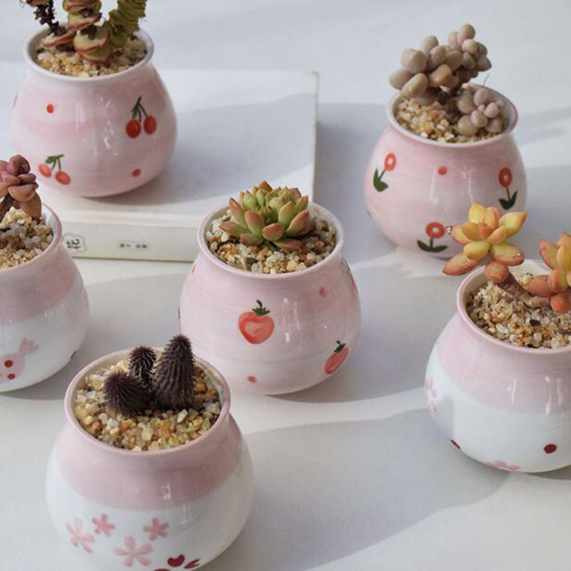 Pot Tanaman Berdaging Seri Hat - Bonsai Garden Europe ulasan dan harga