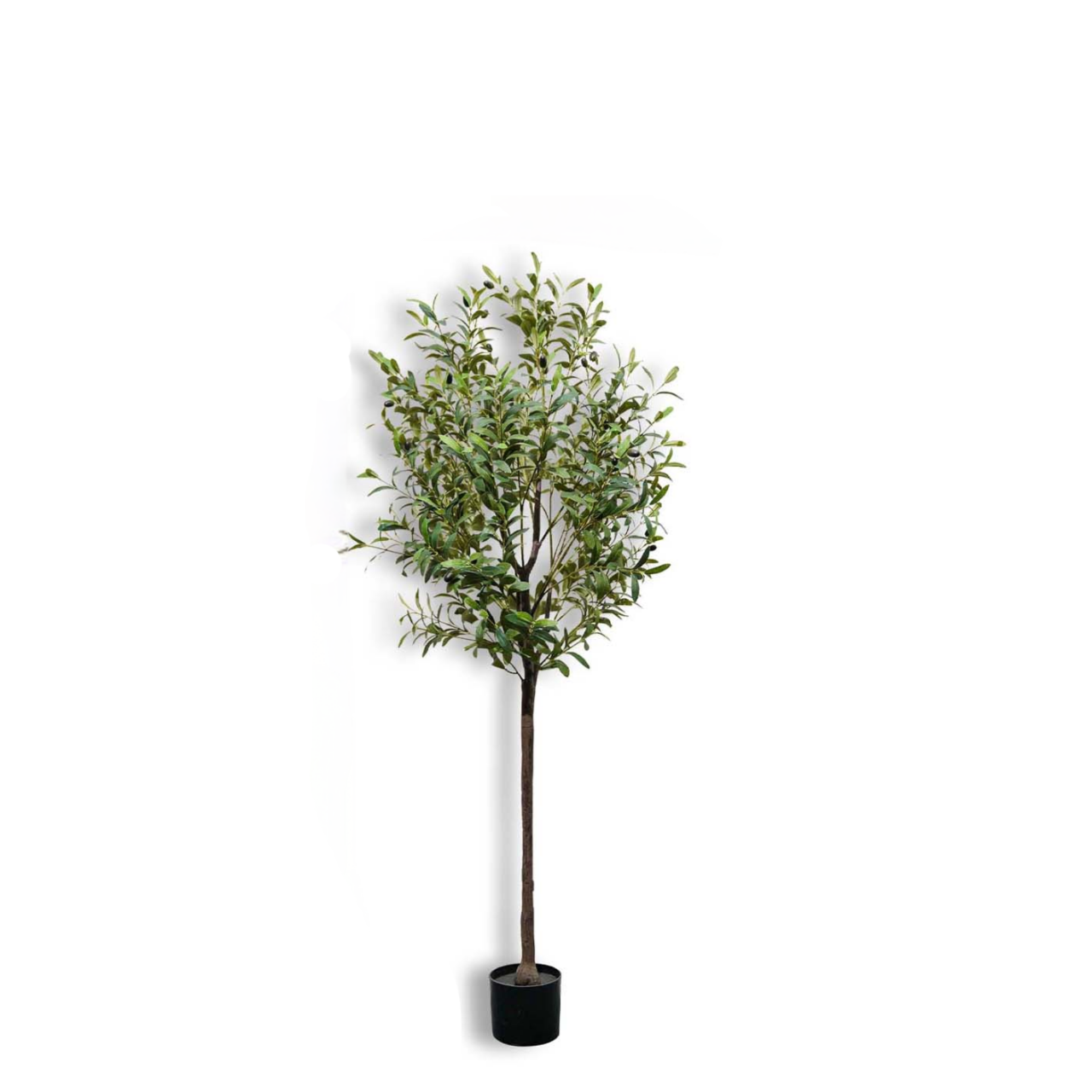 Pohon Zaitun Buatan 150cm/59In - Bonsai Garden Sushi ulasan dan harga