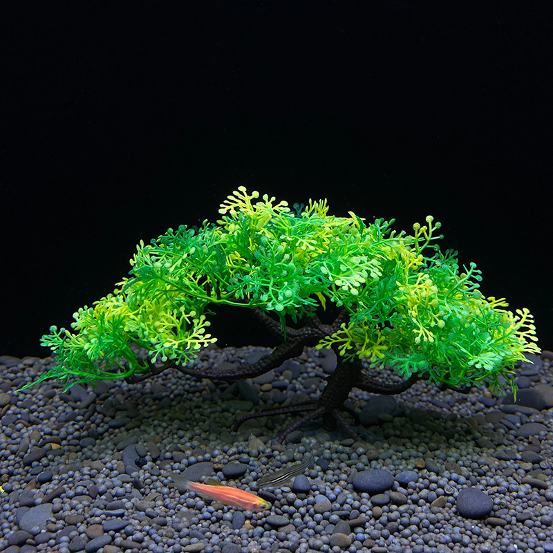 Pohon bonsai akuarium, tanaman - Bonsai Garden Sushi ulasan dan harga