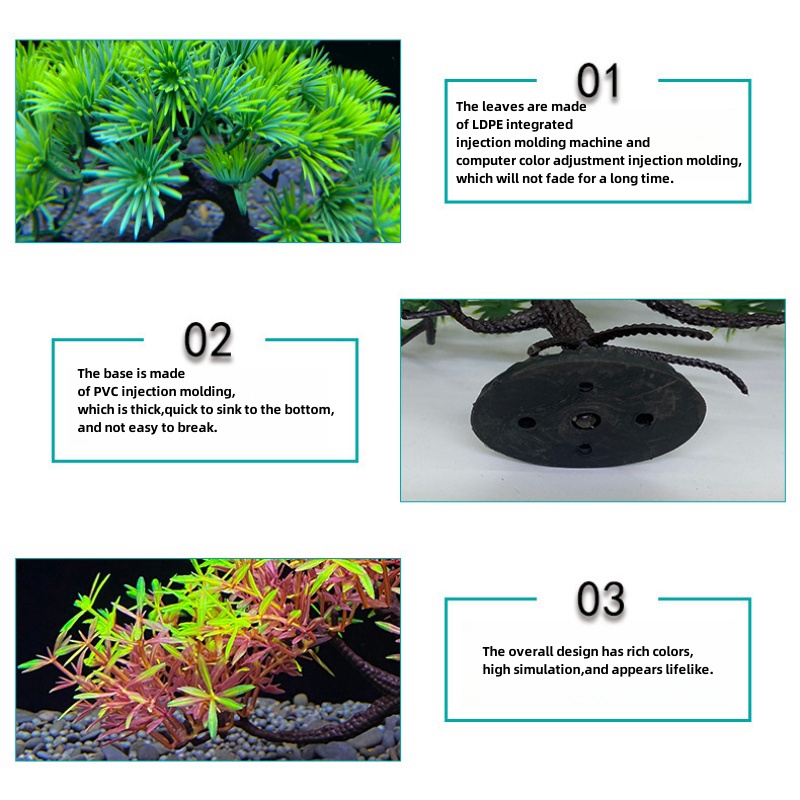 Pohon bonsai akuarium, tanaman - Bonsai Garden Sushi ulasan dan harga