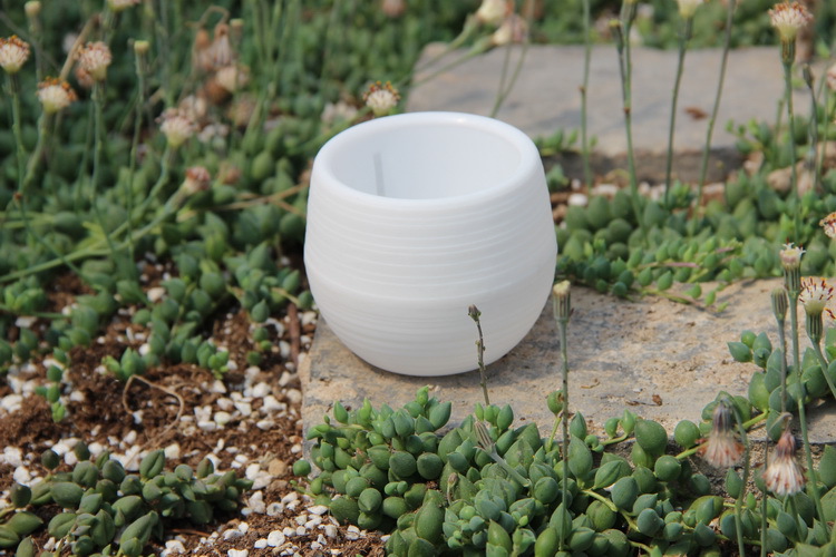 Pot Bunga Plastik Mini Berkebu - Bonsai Garden Europe ulasan dan harga