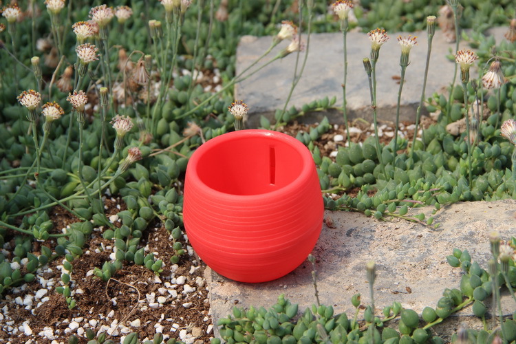 Pot Bunga Plastik Mini Berkebu - Bonsai Garden Europe ulasan dan harga